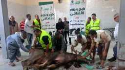 محافظ أسيوط: ذبح وتوزيع 230...