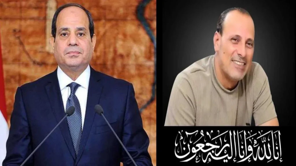 الرئيس السيسى