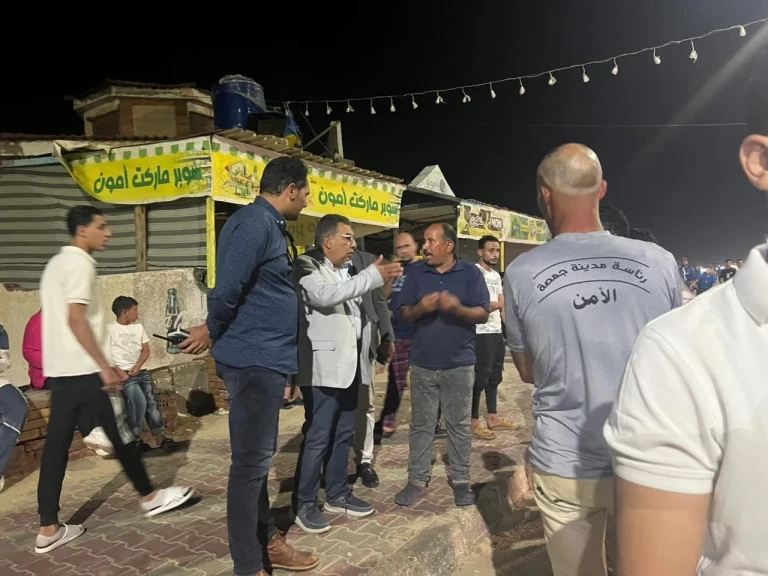 محافظ الدقهلية