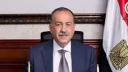 محافظ أسيوط: مواصلة تركيب بلاط...