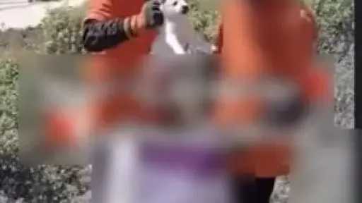 حوادث