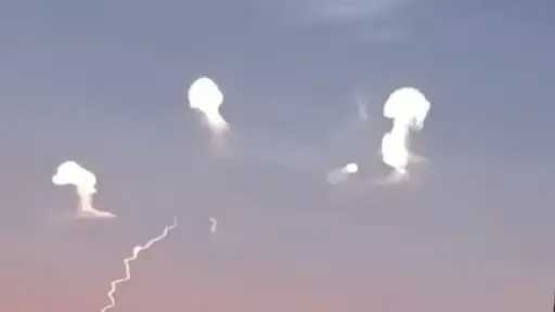 اخبار مصر