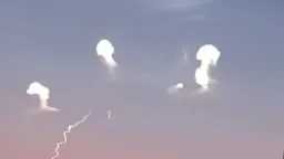 اخبار مصر