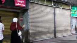 اخبار مصر