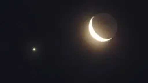 اخبار مصر
