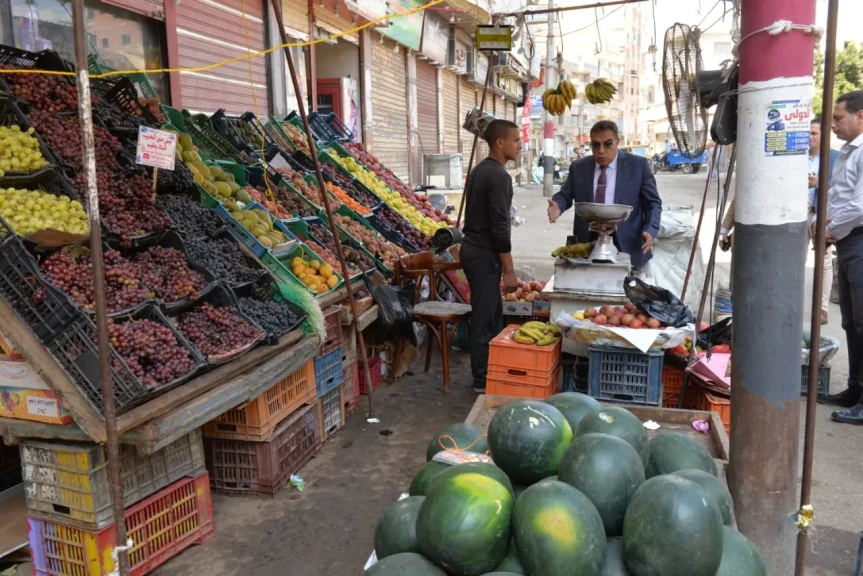 محافظ الدقهلية