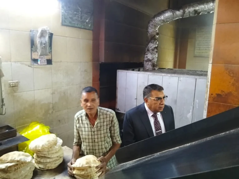 محافظ الدقهلية