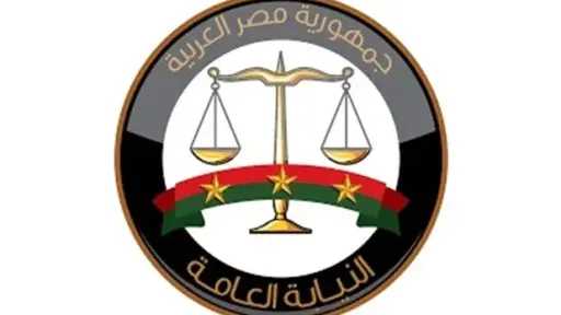 قرار عاجل | النيابة العامة تأمر بالتحفظ علي خادمة في واقعة مقتل طبيب شهير طنطا