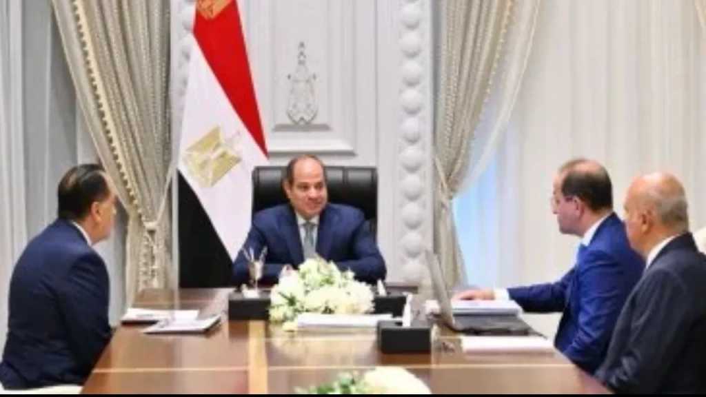 اجتماع الرئيس السيسى