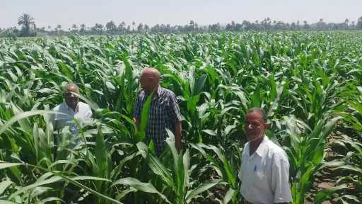 محافظ أسيوط يؤكد أهمية متابعة...