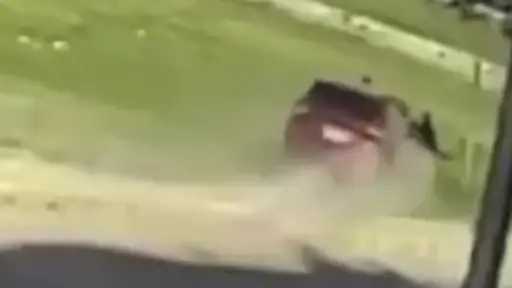 تحقيقات