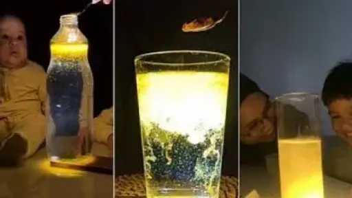 اخبار مصر