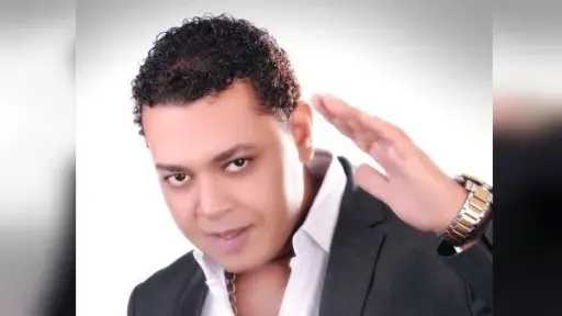 فن