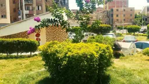 محافظ الغربية يتابع حملات النظافة...