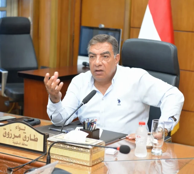 محافظ الدقهلية