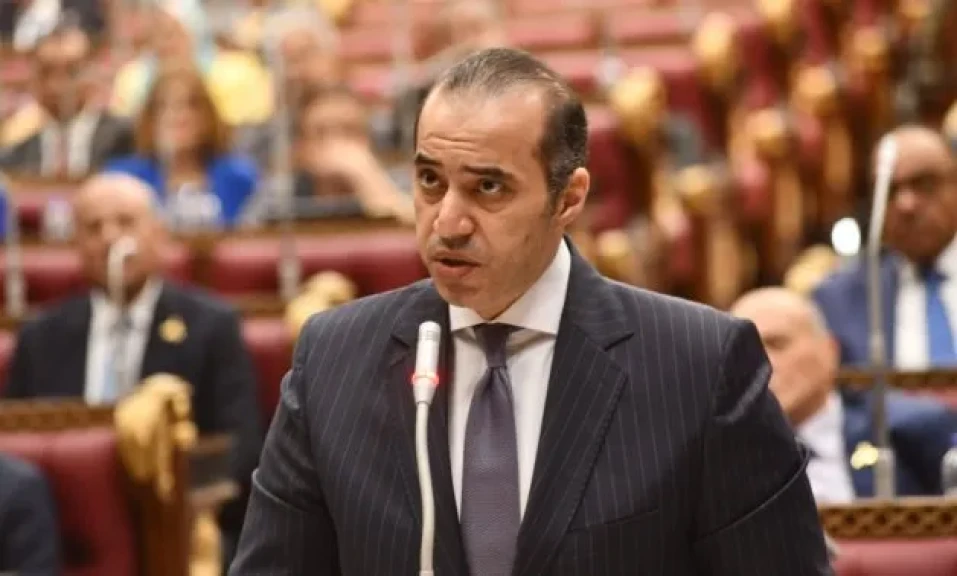 وزير الشئون النيابية
