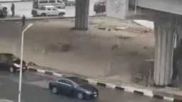 اخبار مصر