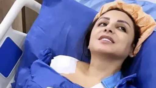 فن