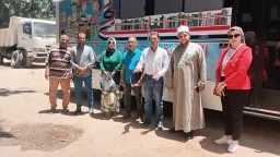 اخبار مصر
