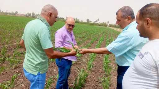 محافظ أسيوط: دعم متواصل للزراعة...
