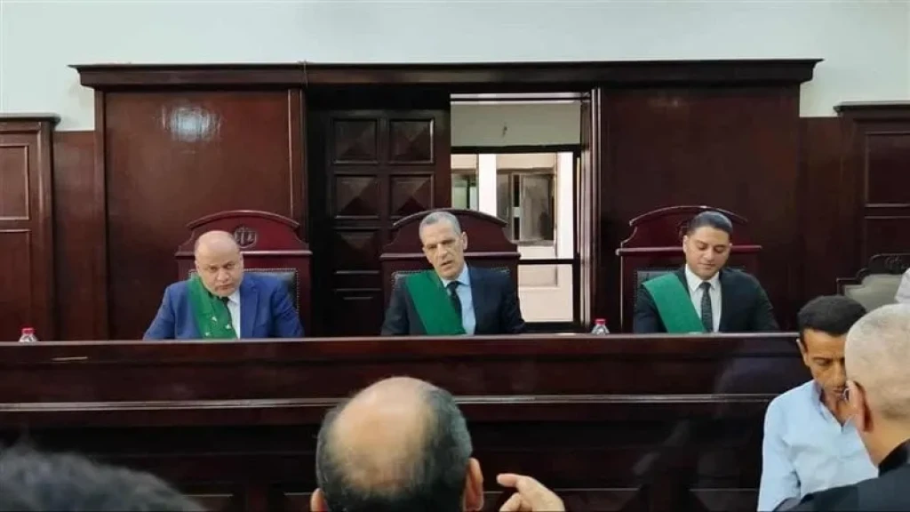 محكمة جنايات المنصورة