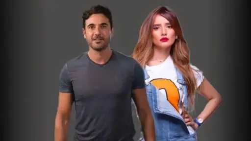 فن