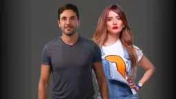 فن