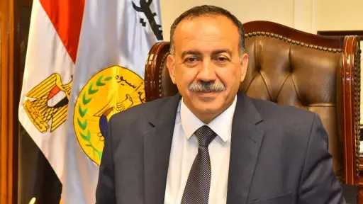 امن مصر