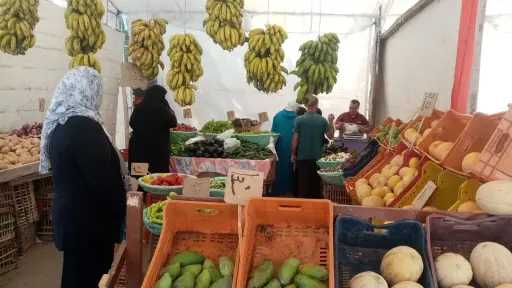 امن مصر