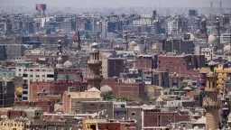 اخبار مصر