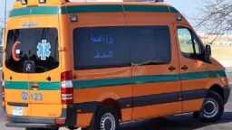 اخبار مصر