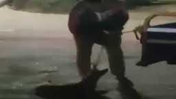 امن مصر