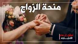 اخبار مصر