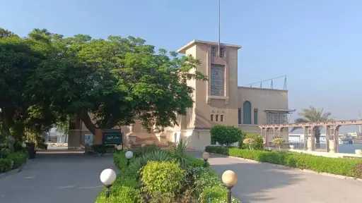 اخبار مصر