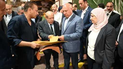 اخبار مصر