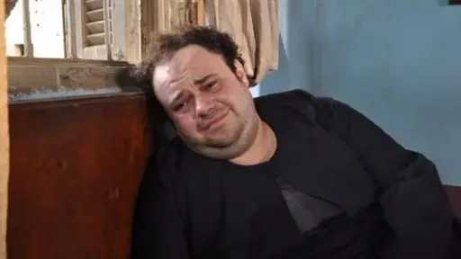 فن