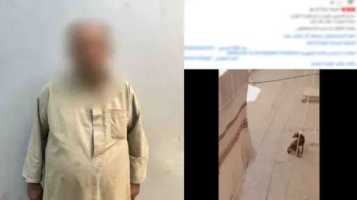 امن مصر