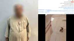 امن مصر