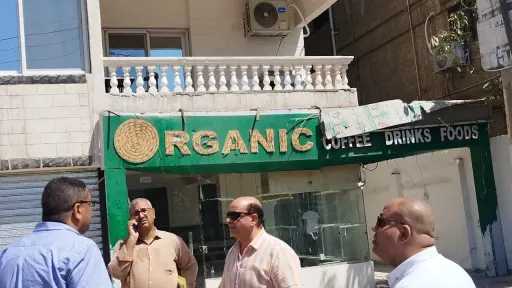 اخبار مصر