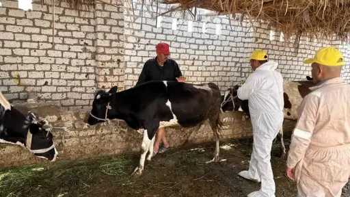 الصحة والجمال ( المرآة )