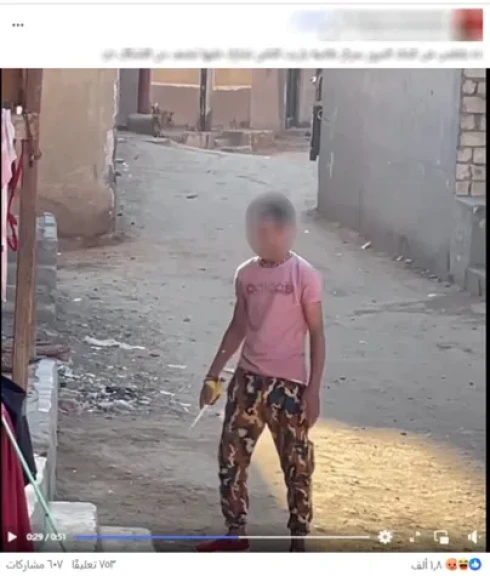 مرتكب الواقعة