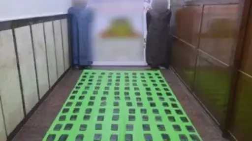 امن مصر