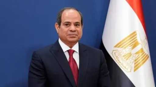 السوشيال