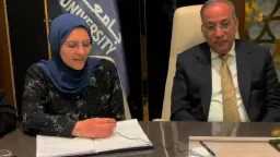اخبار مصر