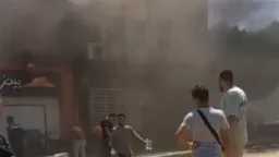 اخبار مصر