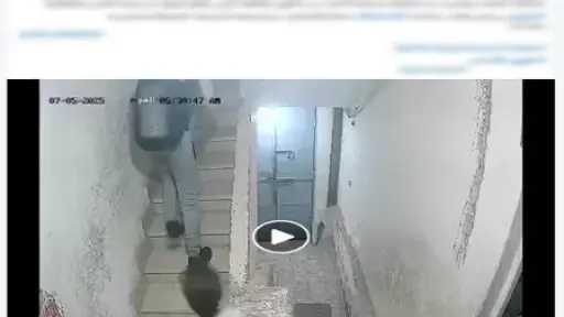 امن مصر