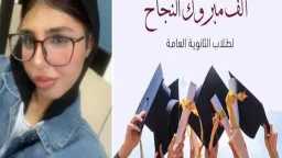 السوشيال