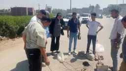 اخبار مصر