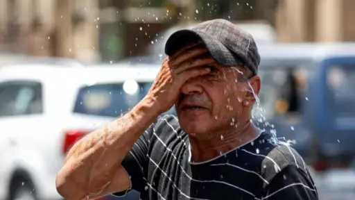 اخبار مصر