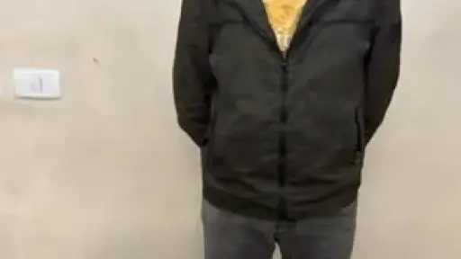 امن مصر